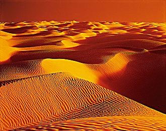 《喵斯快跑》联动《东方Project》第二弹上线 游戏促销同步开启